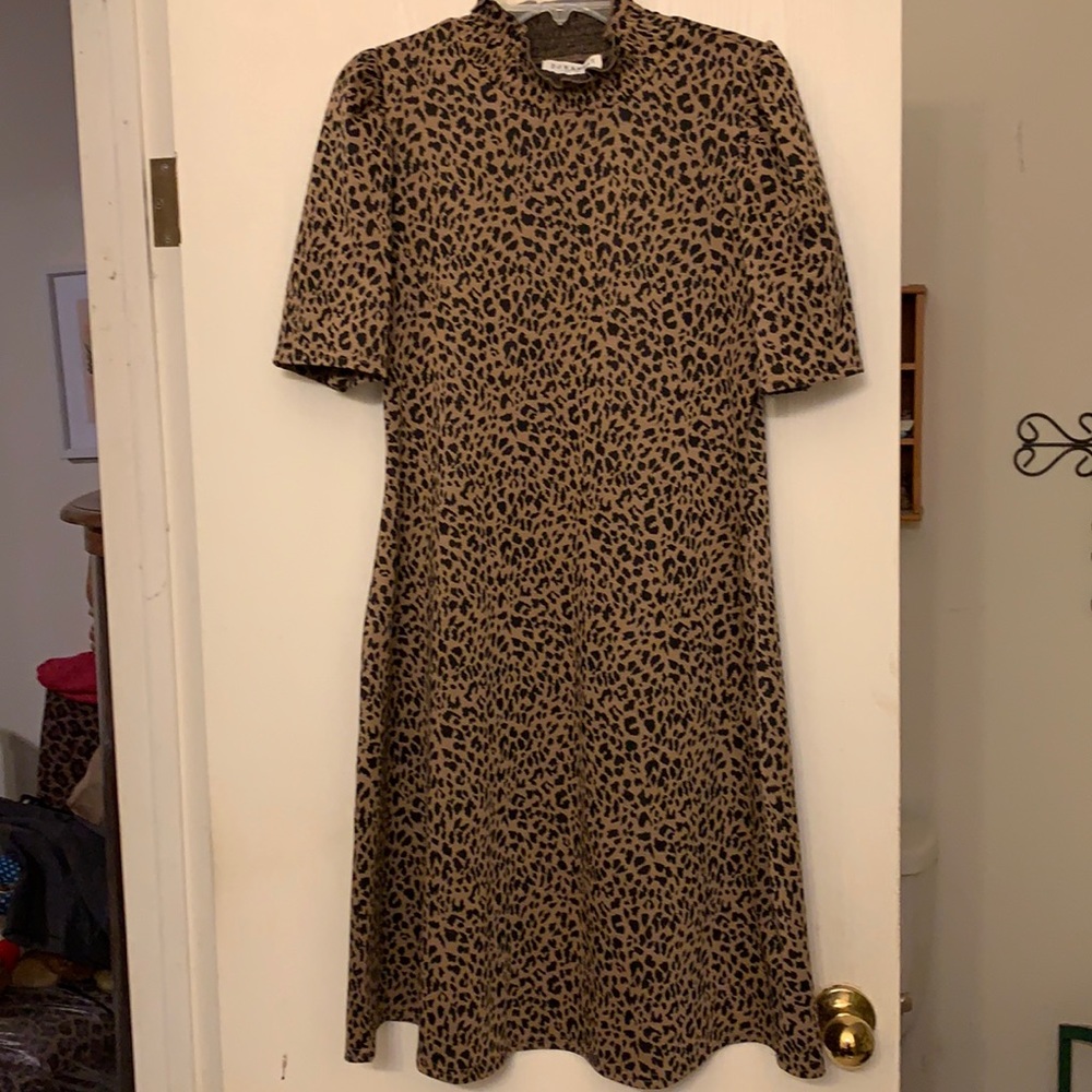 Fun and fashionable